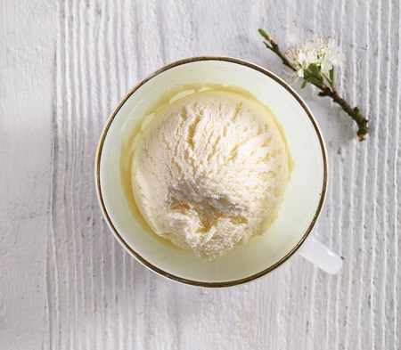 Elderflower & Gooseberry Ice Cream