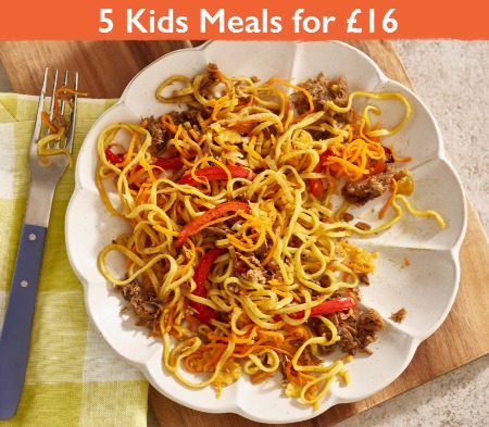 Kids Honey-Roasted Duck Noodles