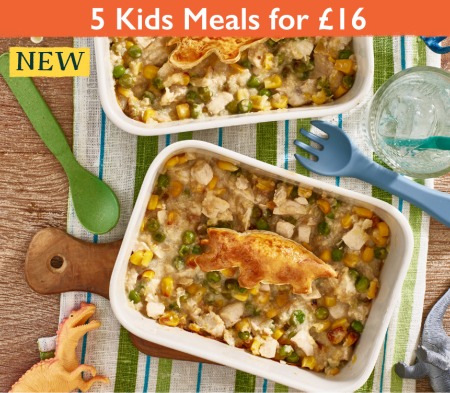 NEW Kids Chicken Dinosaur Pie